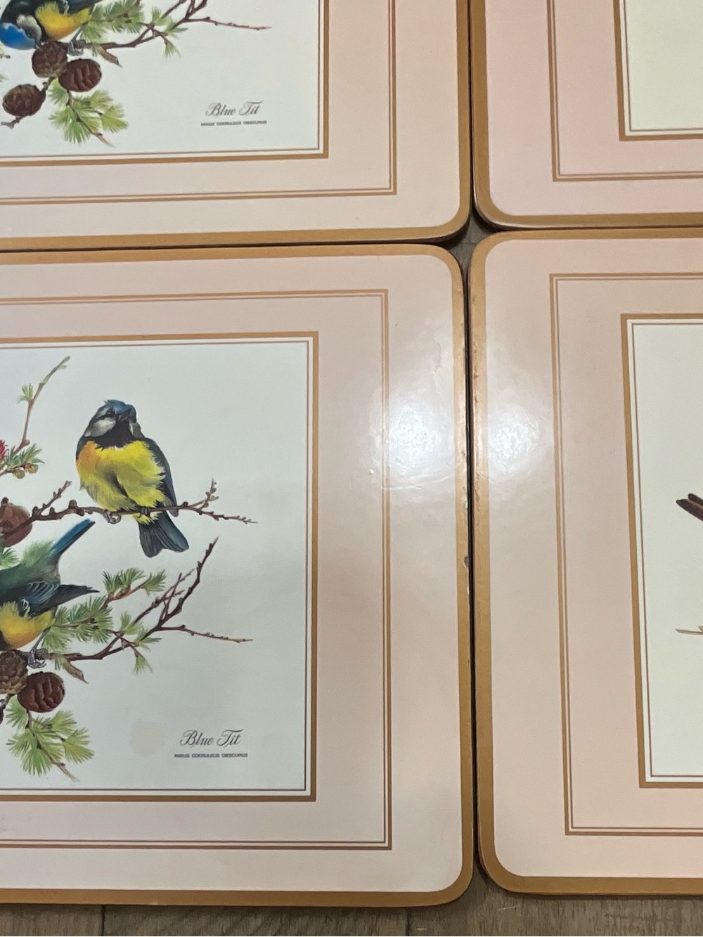Pimpernel Placemats European Birds Blue Tilt Kingfisher Red Robin Set Of 4 - Picture 2 of 3